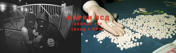 сатива Пролетарск