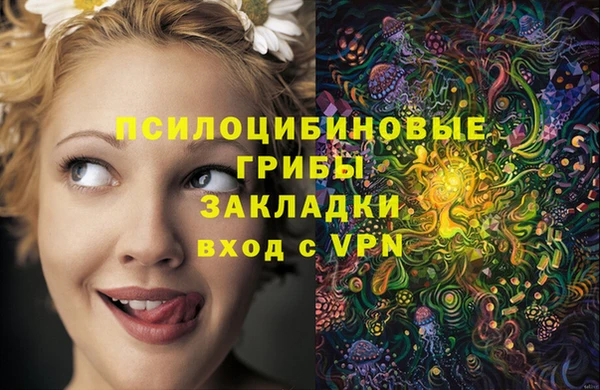 стаф Армянск